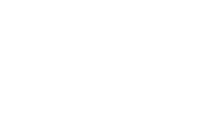 Imagine Everything Logo